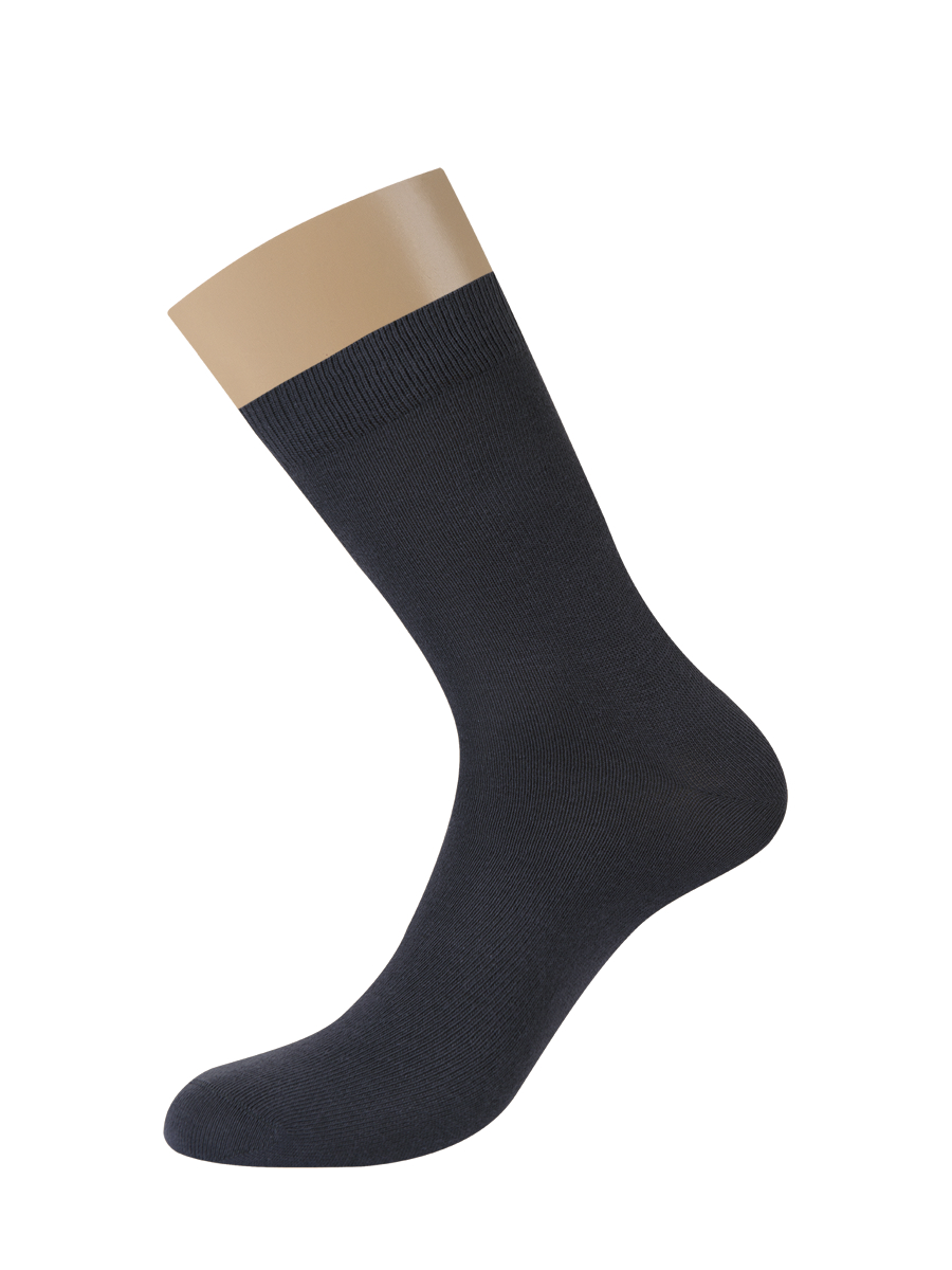 OMSA ECO 401