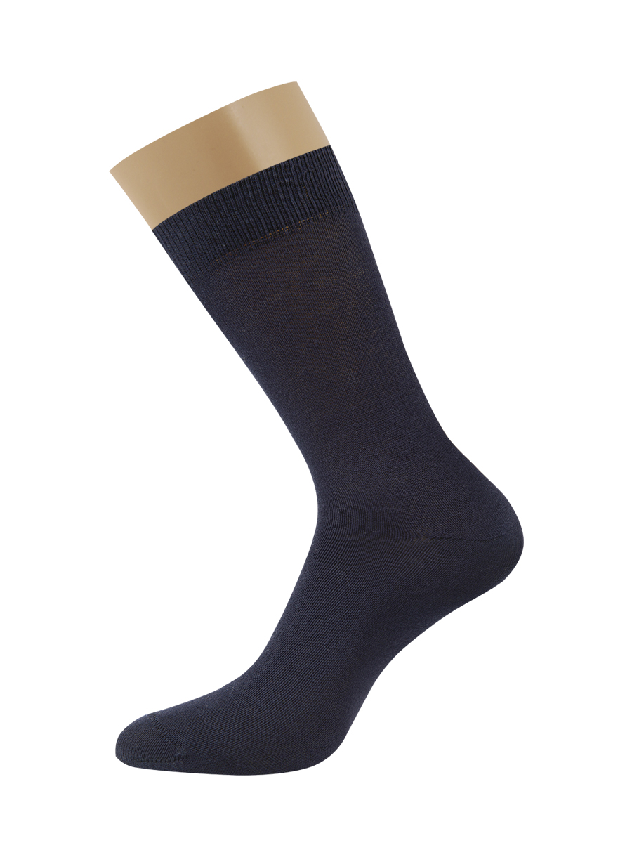 OMSA ECO 401